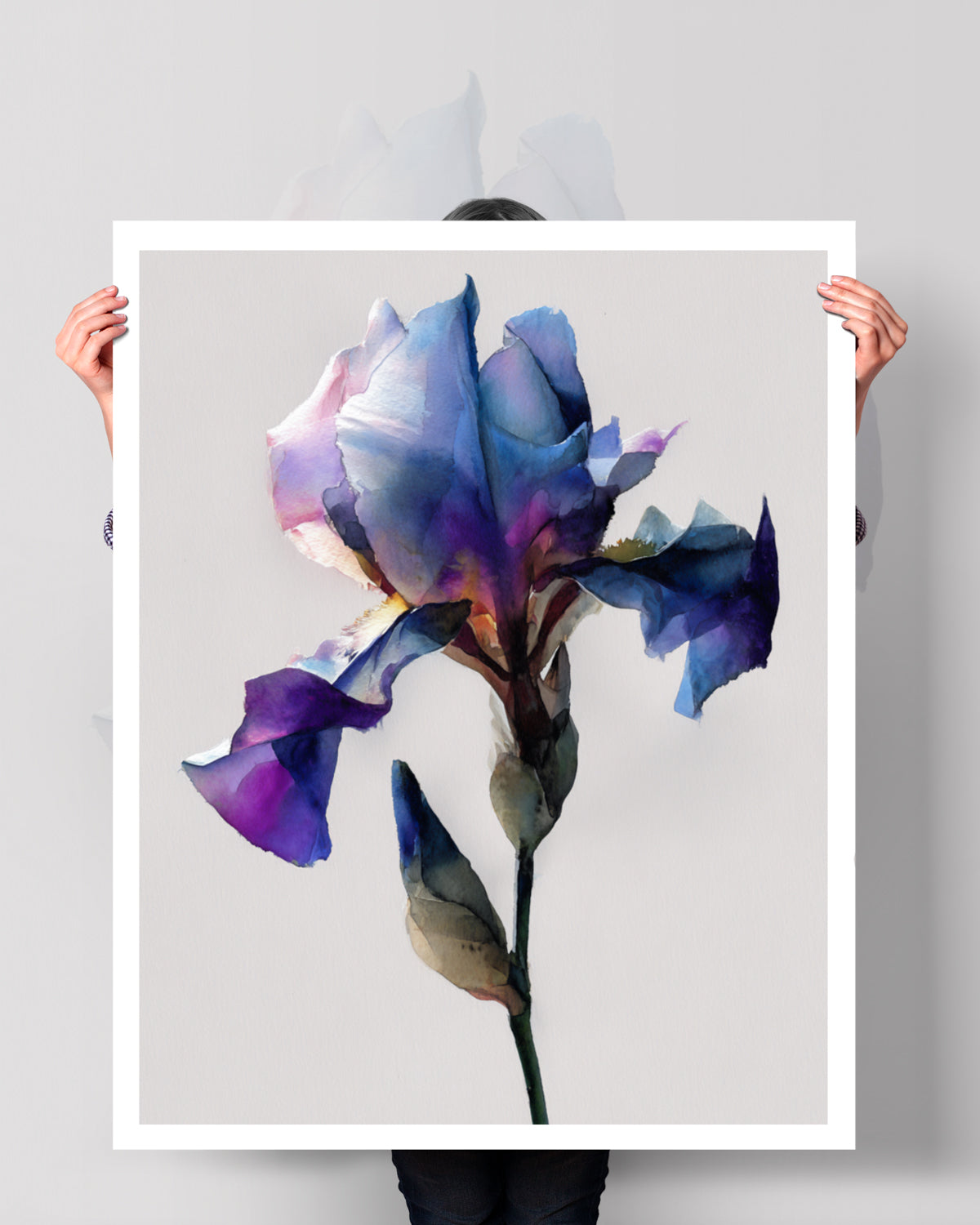 Iris 3 | Modern Botanical Floral Watercolor Wall Art – Marta