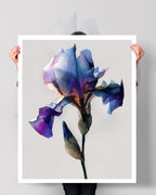 Botanical Wall Art Prints Abstract Flora Plant Watercolor Paper & Canvas | Iris 3