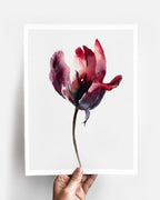 Botanical Wall Art Prints Abstract Flora Plant Watercolor Paper & Canvas | Tulip 1