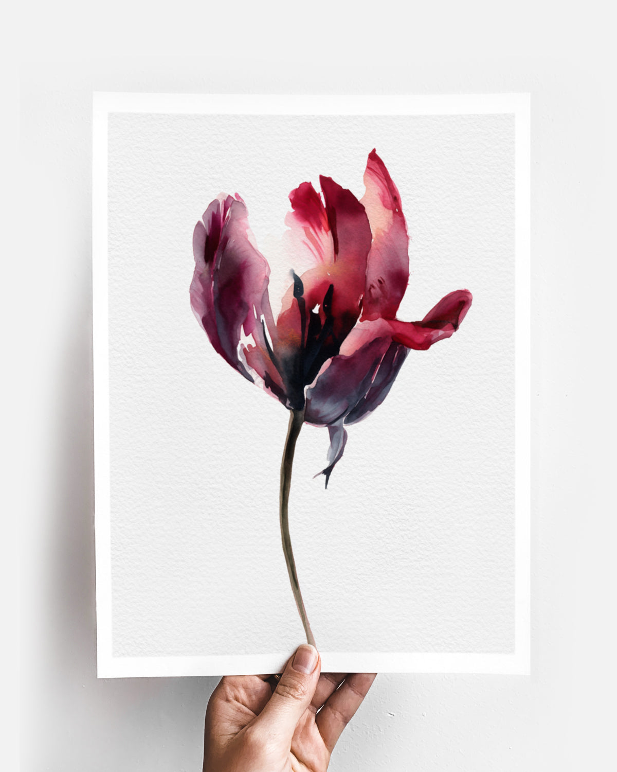 Botanical Wall Art Prints Abstract Flora Plant Watercolor Paper & Canvas | Tulip 1