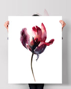 Botanical Wall Art Prints Abstract Flora Plant Watercolor Paper & Canvas | Tulip 1