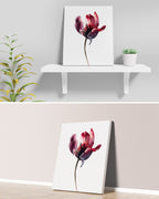 Botanical Wall Art Prints Abstract Flora Plant Watercolor Paper & Canvas | Tulip 1