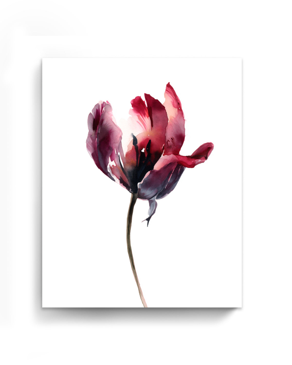 Botanical Wall Art Prints Abstract Flora Plant Watercolor Paper & Canvas | Tulip 1
