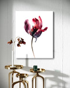 Botanical Wall Art Prints Abstract Flora Plant Watercolor Paper & Canvas | Tulip 1