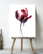 Botanical Wall Art Prints Abstract Flora Plant Watercolor Paper & Canvas | Tulip 1
