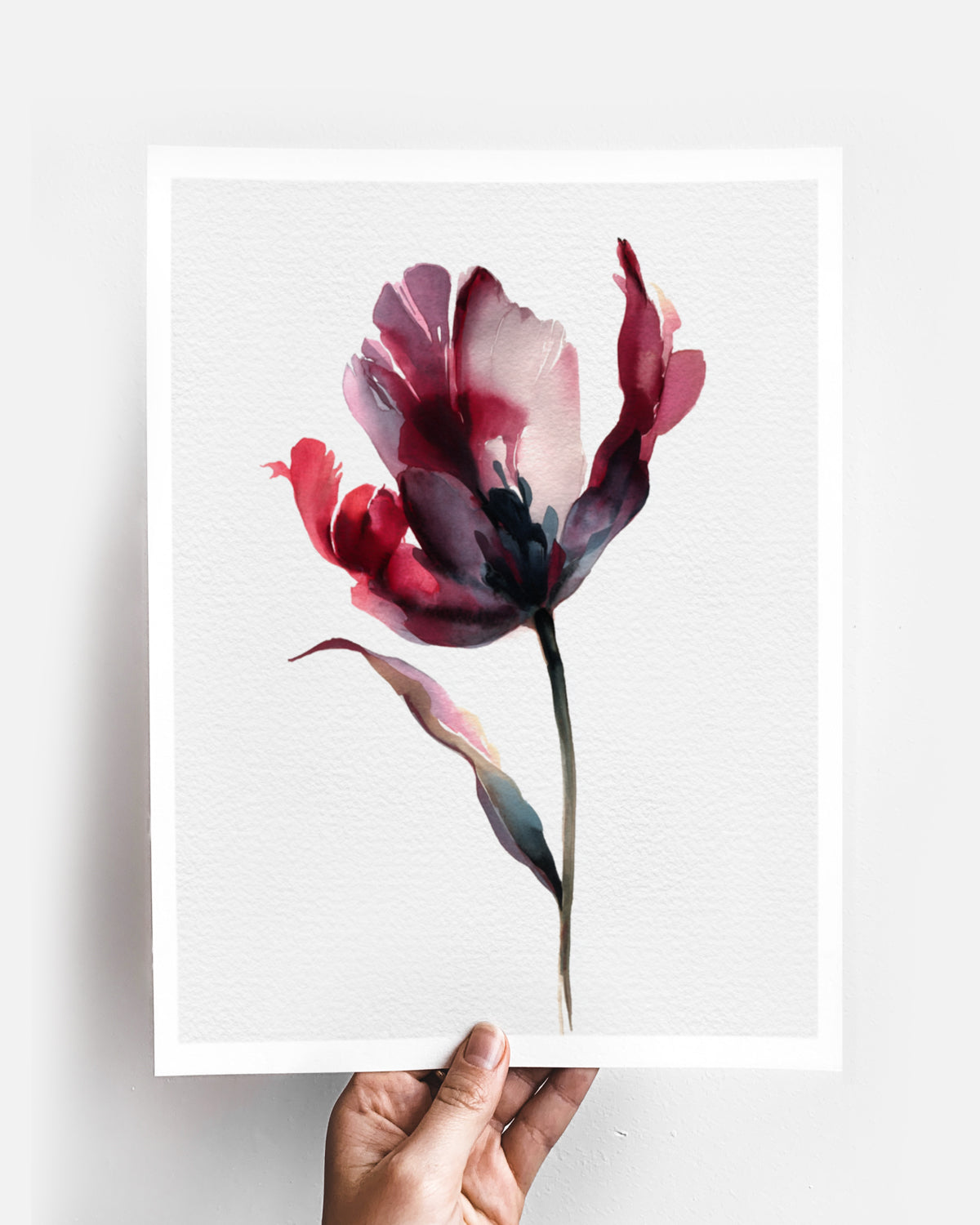 Botanical Wall Art Prints Abstract Flora Plant Watercolor Paper & Canvas | Tulip 2