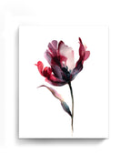Botanical Wall Art Prints Abstract Flora Plant Watercolor Paper & Canvas | Tulip 2