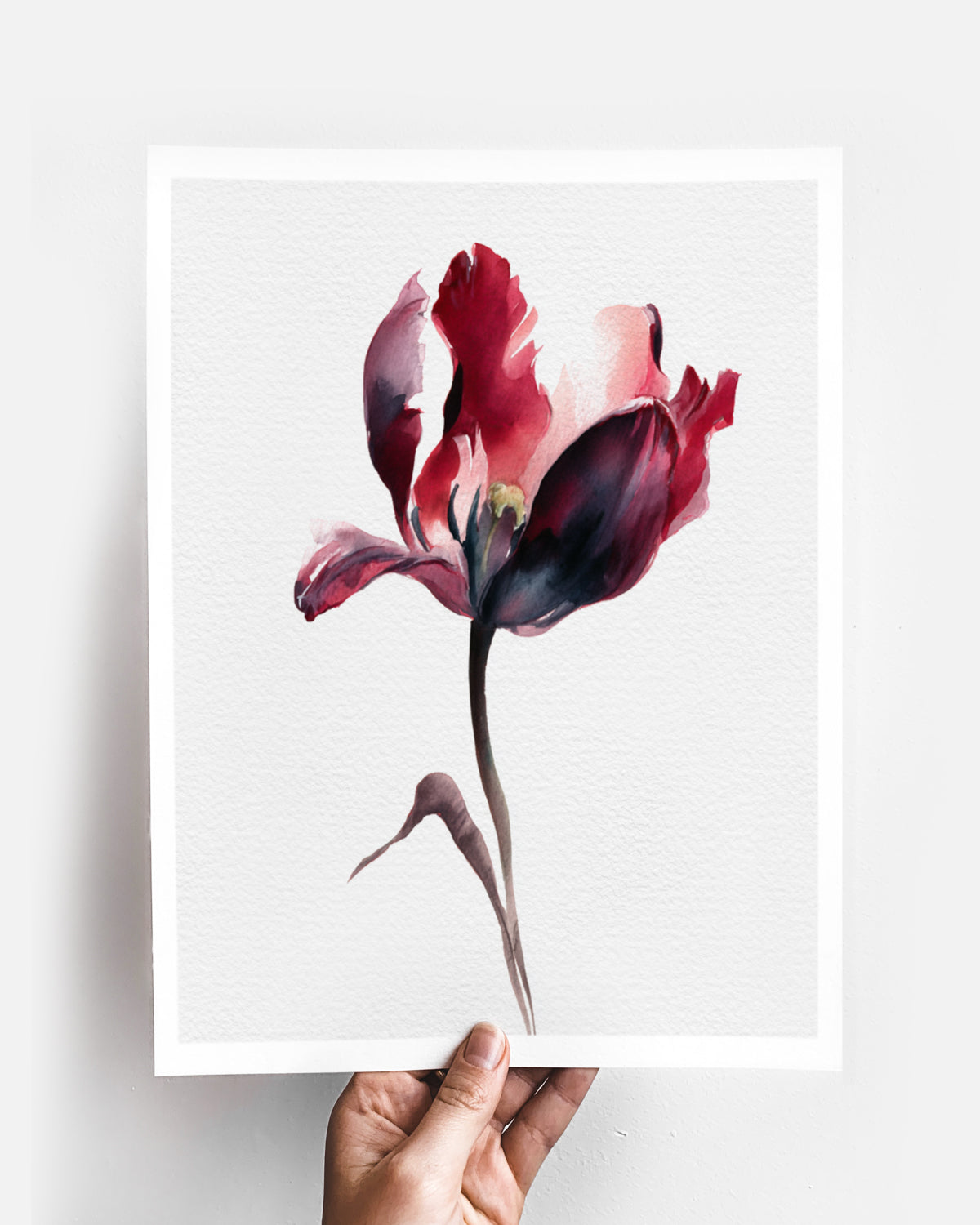 Botanical Wall Art Prints Abstract Flora Plant Watercolor Paper & Canvas | Tulip 3