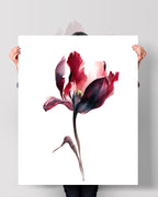 Botanical Wall Art Prints Abstract Flora Plant Watercolor Paper & Canvas | Tulip 3