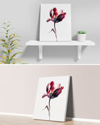 Botanical Wall Art Prints Abstract Flora Plant Watercolor Paper & Canvas | Tulip 3