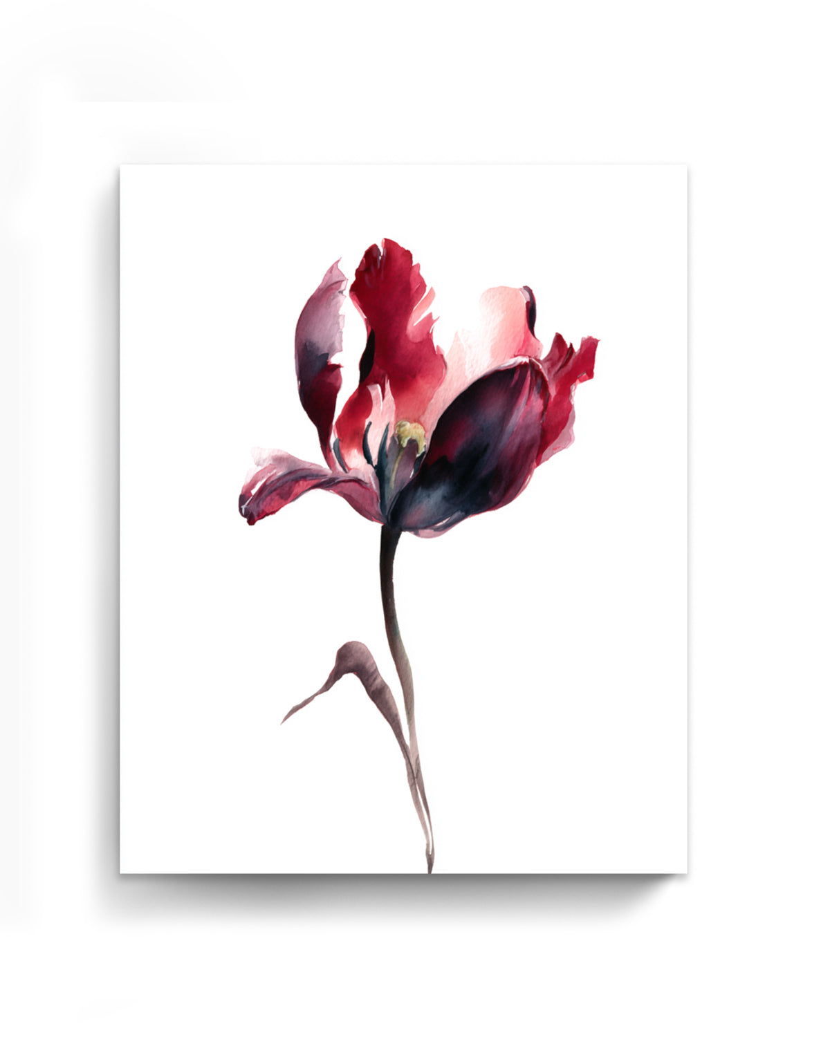 Botanical Wall Art Prints Abstract Flora Plant Watercolor Paper & Canvas | Tulip 3